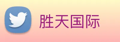 胜天国际 logo